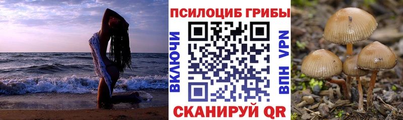 Купить  Донецк  Псилоцибиновые грибы Cubensis 